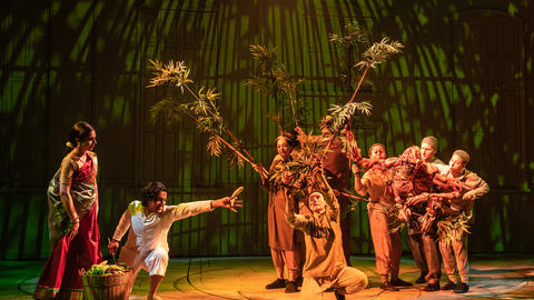 Life of Pi stage production at the American Repertory Theater