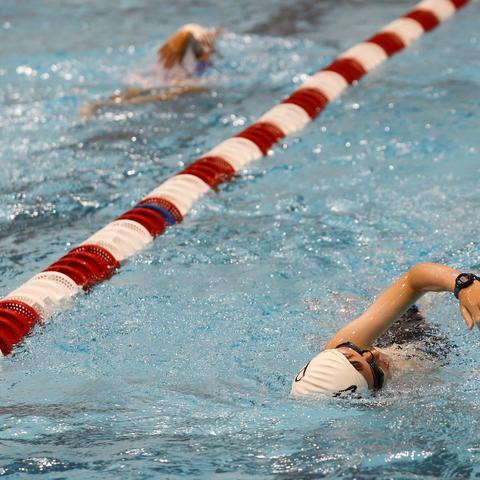 Swimmers in lane