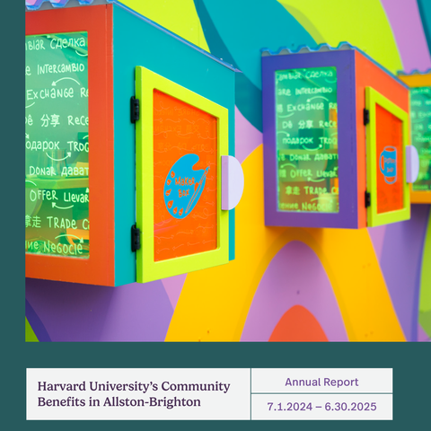 image of annual report cover showing swap box mural