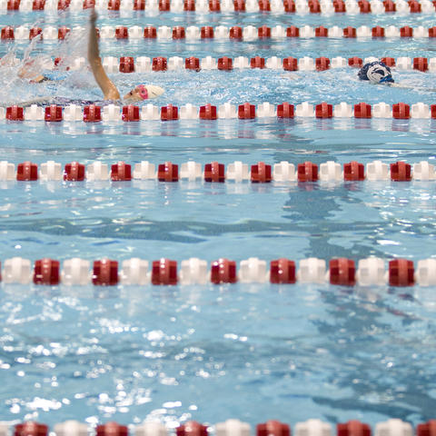 blodgett pool swimming lanes