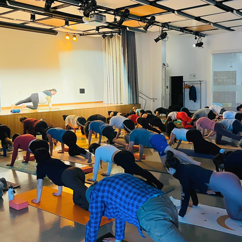 people in yoga positions in an auditorium space