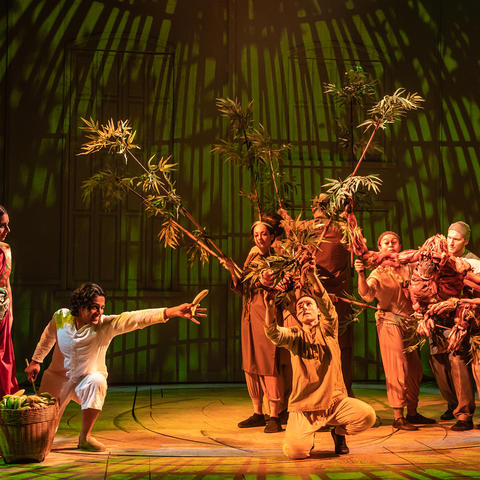 Life of Pi stage production at the American Repertory Theater