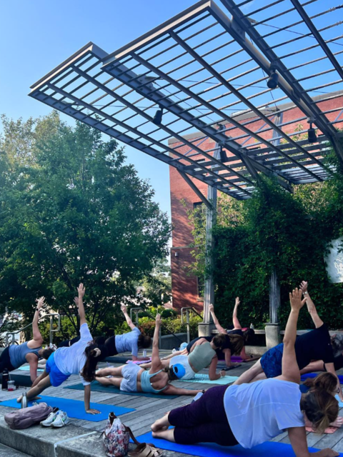 people in yoga positions at farmers market